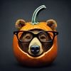 sunbearface7